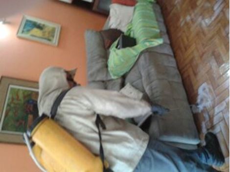 Controle de Pragas no Caxingui