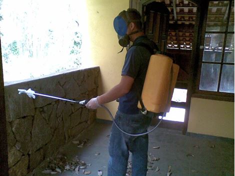 Empresa Dedetizadora no Caxingui