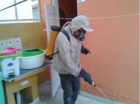 Controle de Pragas no Imirim