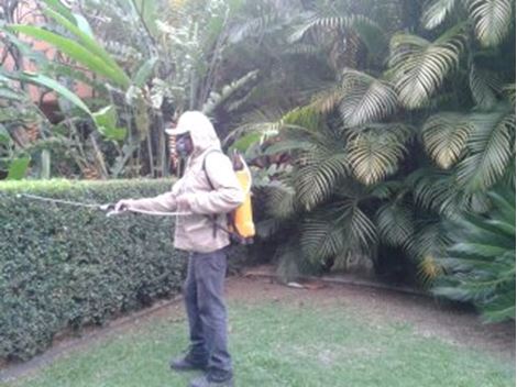 Empresa Dedetizadora no Jardim Ipanema