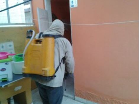 Controle de Pragas no Paraíso