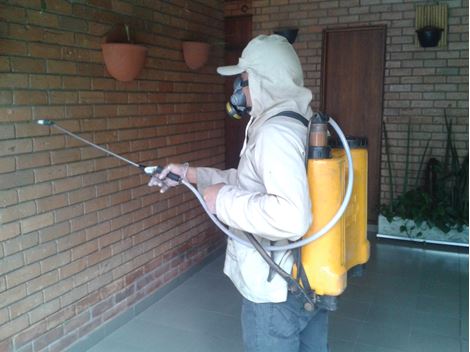 Dedetizar no Parque Fongaro