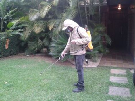 Empresa Dedetizadora no Parque Fongaro