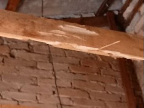 Descupinizadora na Vila Mazzei