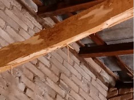 Descupinizadora na Vila Progredior