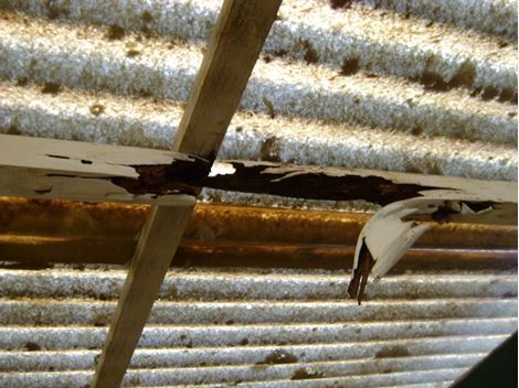 Descupinização Especializada no Jardim Ângela