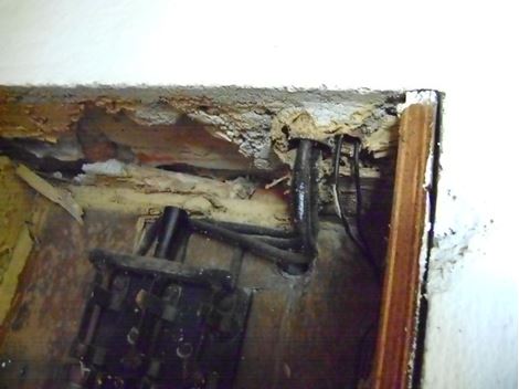 Descupinização Profissional no Jardim São Luiz