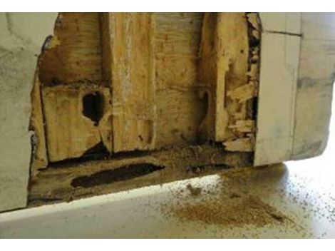 Descupinizadora no Parque Ipê