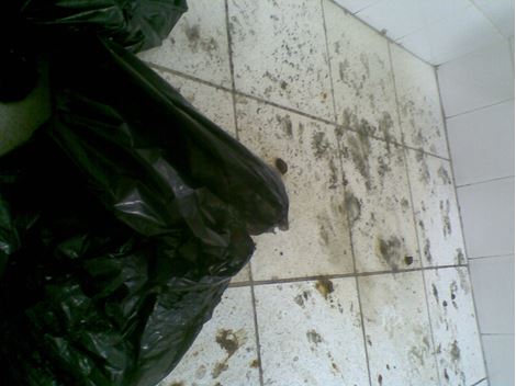 Desentupimento em Lauzane Paulista