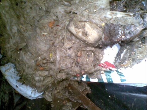 Desentupidora em São Miguel Paulista