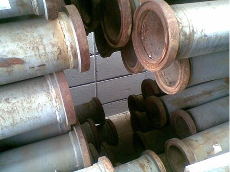 Empresa Desratizadora em Higienópolis