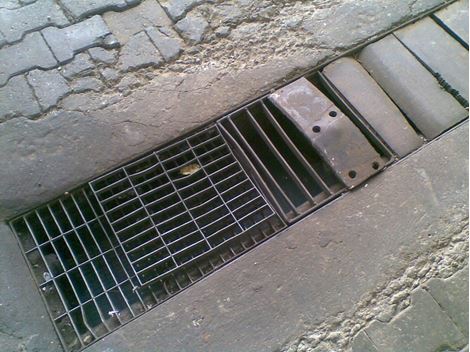  Dedetizadora na Cidade Jardim