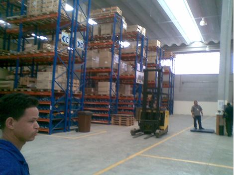 Dedetizadora Profissional na Cidade Jardim