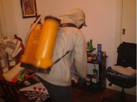 Controle de Pragas na Água Rasa