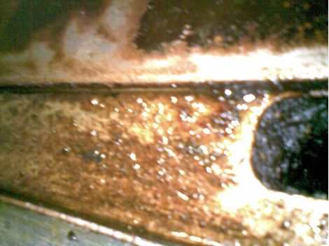 Dedetizadora 24 horas na Vila Olímpia