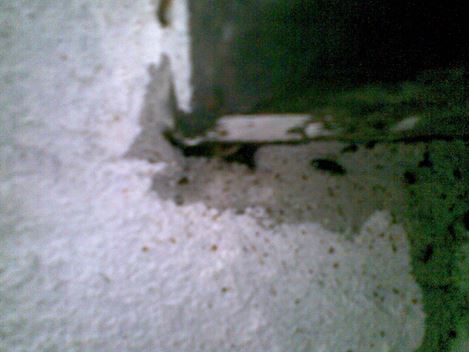 Dedetizadora Especializada na Vila Olímpia