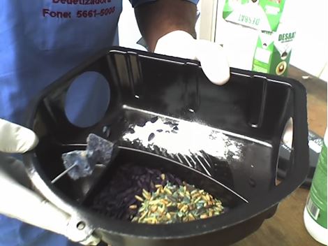 Desratização na Vila Olimpia