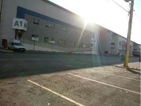 Serviços de Dedetização na Casa Verde