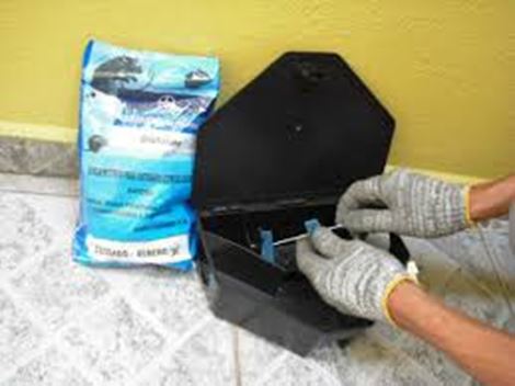 Controle de Ratos no Catumbi