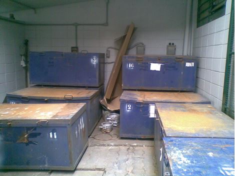 Dedetizadora Especializada no Horto Florestal