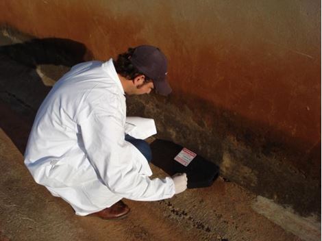 Desratizadora no Jardim Paulista