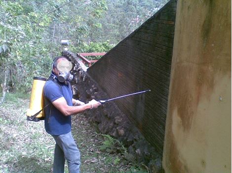 Serviços de Dedetizadora no Parque Tietê