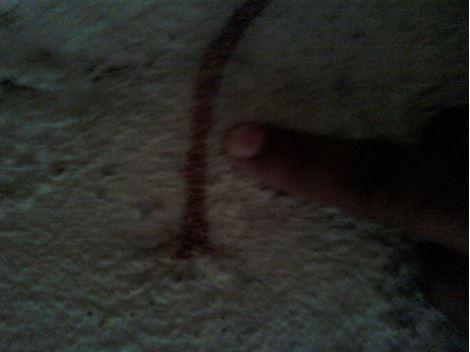  Descupinizadora em Embu das Artes