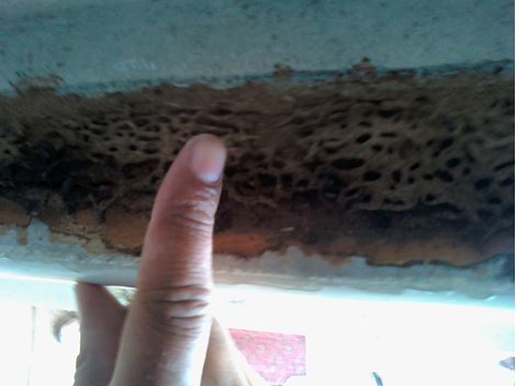 Controladora de Cupim em Embu das Artes