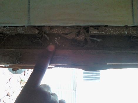 Controladora de Cupins em Embu das Artes