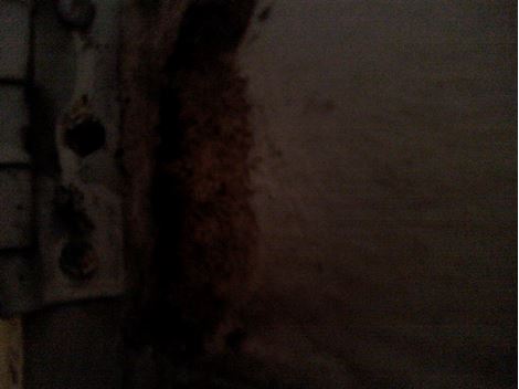 Cupim em Embu das Artes