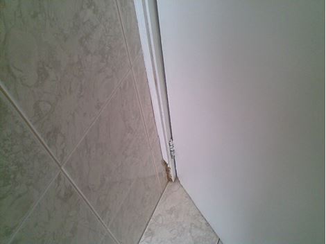 Controle de Brocas em Francisco Morato