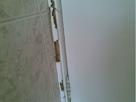 Controle de Cupim em Itaquaquecetuba