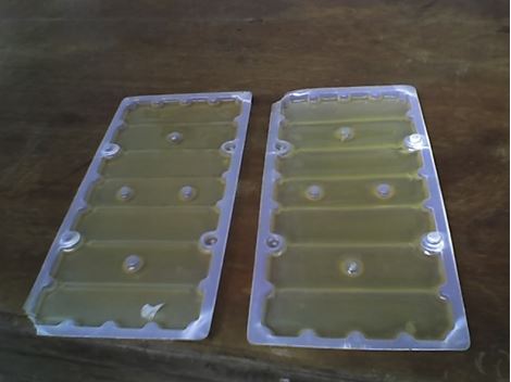 Controle de Roedores em Mauá