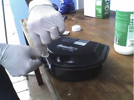  Desratizadora em Mogi das Cruzes