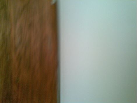 Dedetizadora de Insetos em Santa Isabel