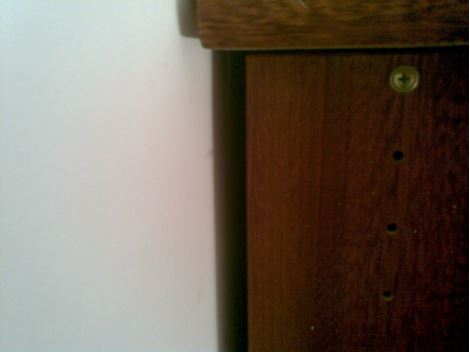 Dedetizadora de Pragas em Santa Isabel