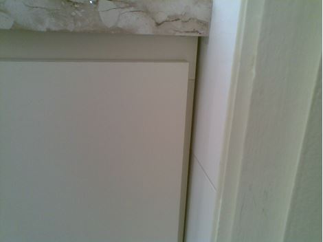 Dedetizadora em Santa Isabel 24hs