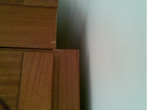 Desinsetizadora em Santa Isabel