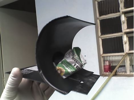 Ratos em São Roque
