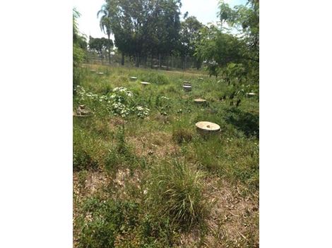 Limpa Fossa no Jardim Patente