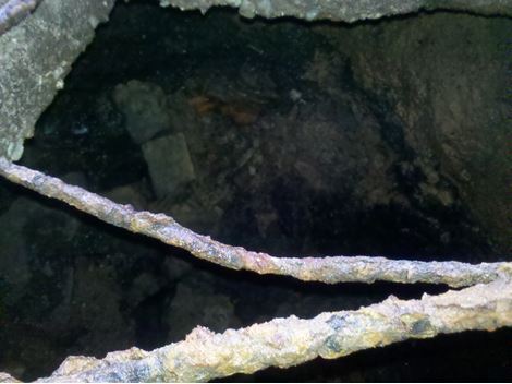 Limpa Fossa no Real Parque