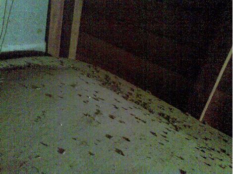  Limpeza de Caixa D'Água na Penha de França