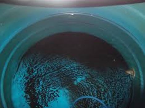  Limpeza de Caixa D'Água no Belenzinho