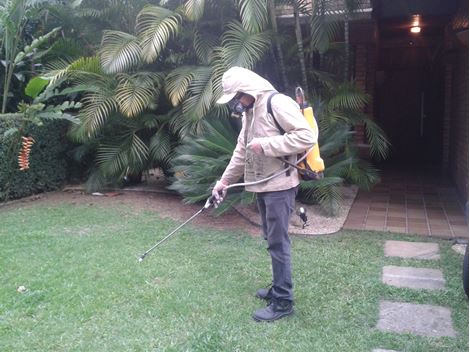Controle de Pragas na Vila Matilde