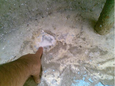  Limpeza de Caixa D'Água no Pari