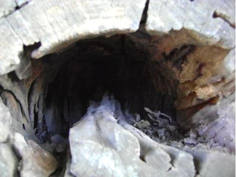 Controladora de Brocas em Praia Grande